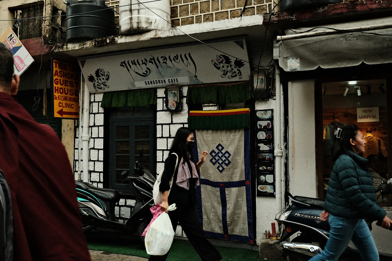 카지노 게임 사이트