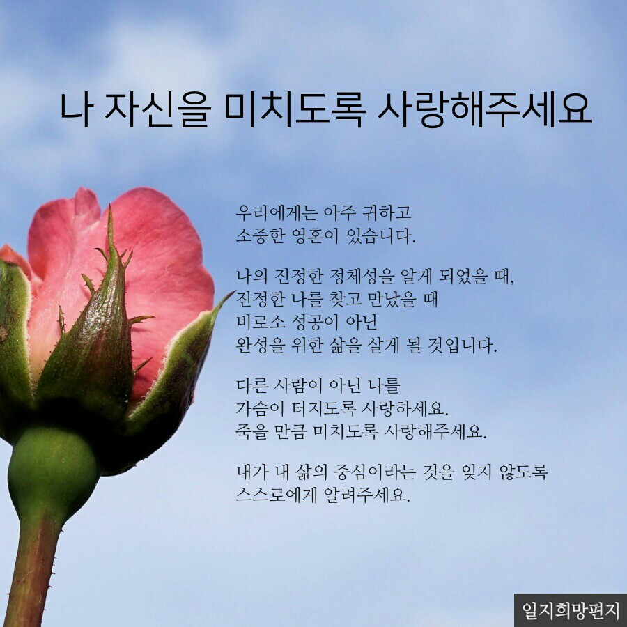 미치도록 사랑하기.jpg