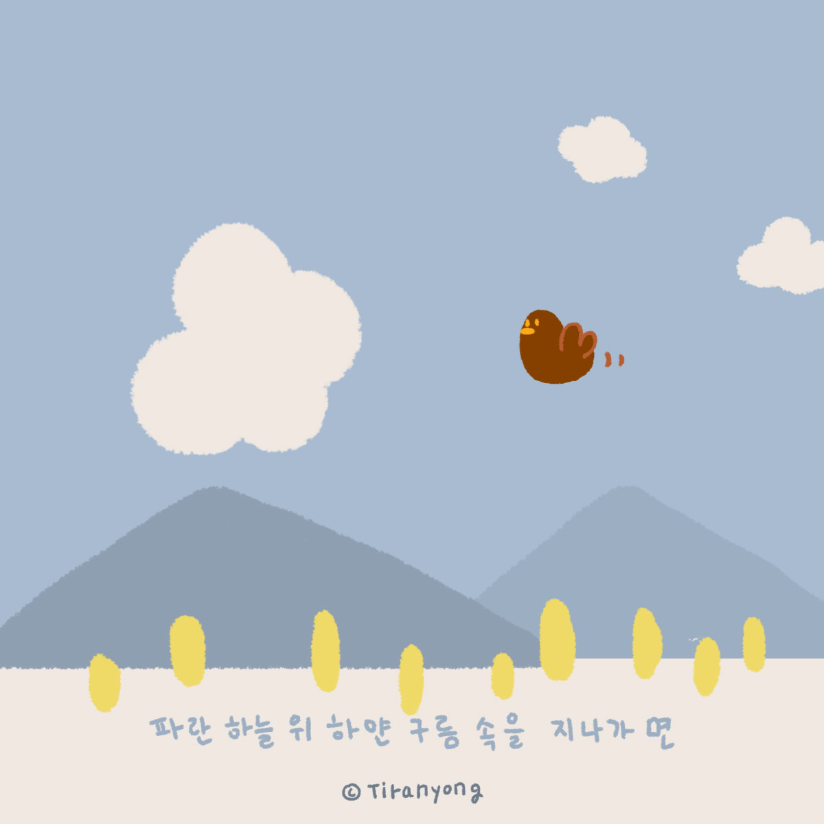 013.하얀 새-1.jpg