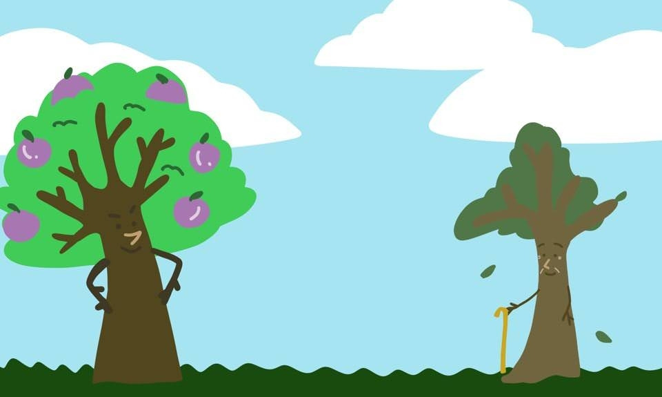 나무의 기도 7.jpg