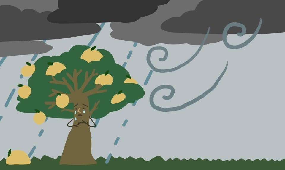 나무의 기도 12.jpg