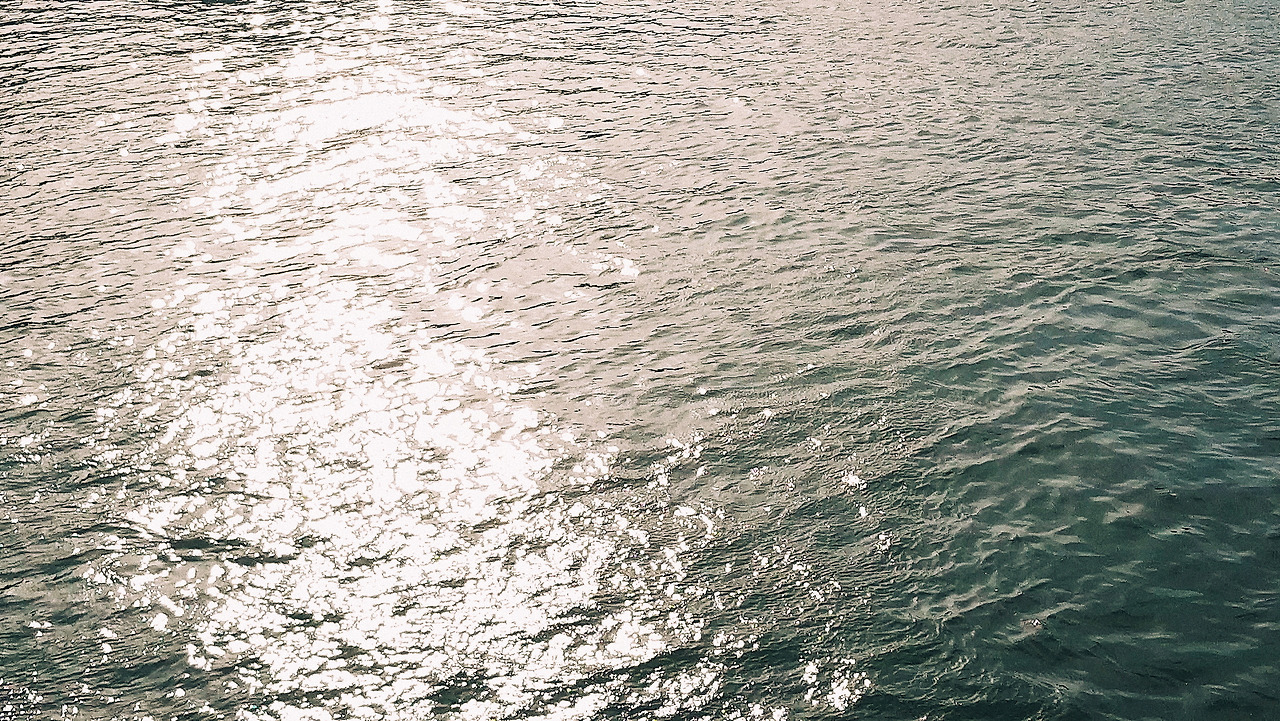 2018-09-30 09.32.46 1.jpg