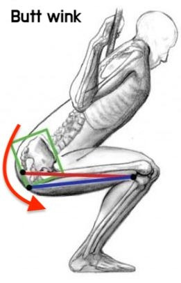 스쿼트할 때 골반이 말리면 잘못된 거라고?3.jpg
