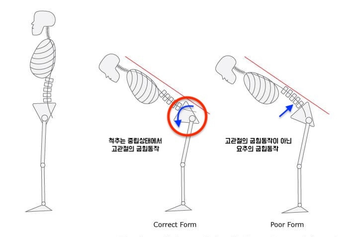 스쿼트할 때 골반이 말리면 잘못된 거라고?2.jpg