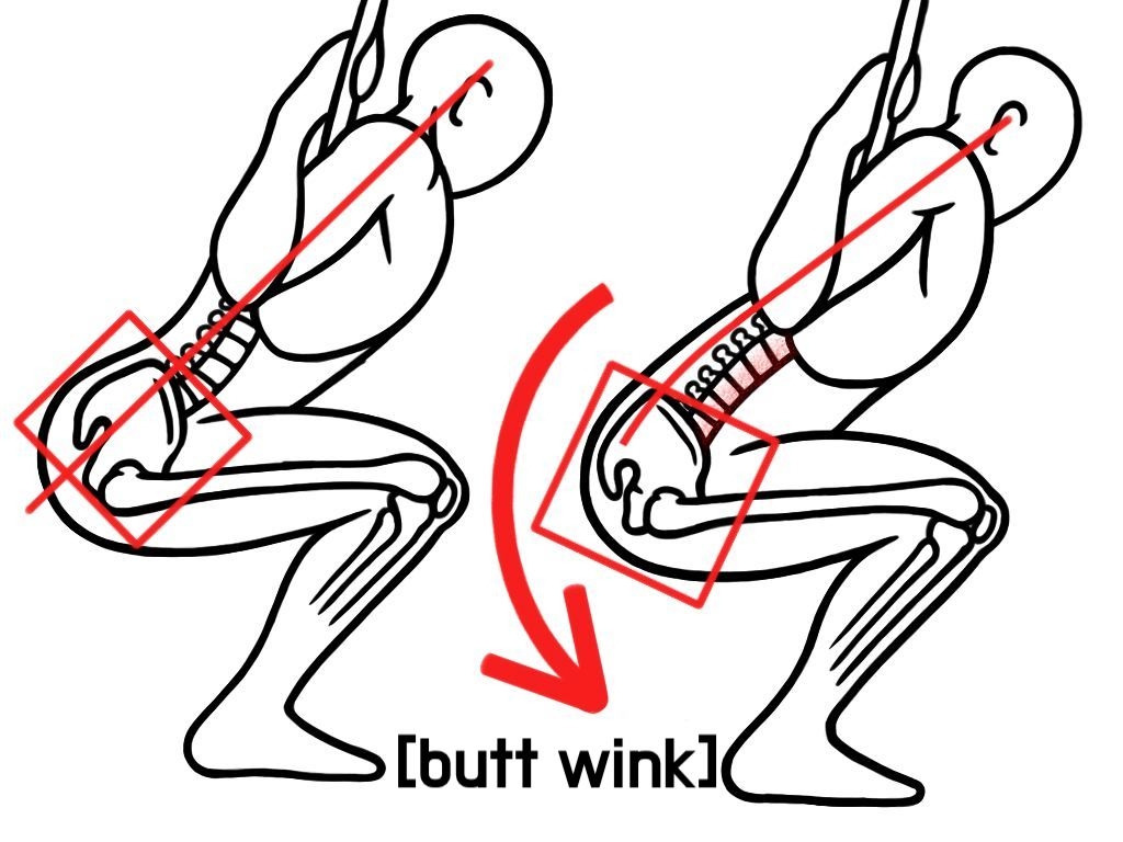 스쿼트할 때 골반이 말리면 잘못된 거라고?5.jpg