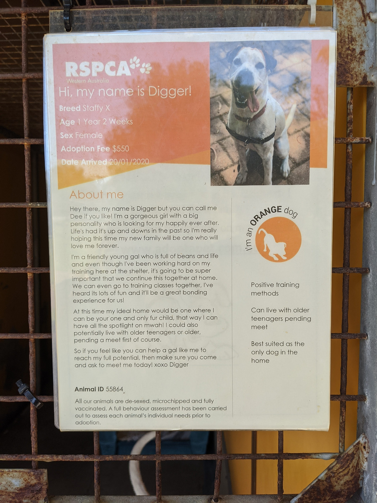 IMG_20200217_141644 (1).jpg