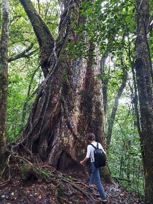 자연과 민아.jpg