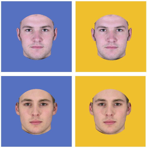 스크린샷 2018-05-11 14.50.35.jpg