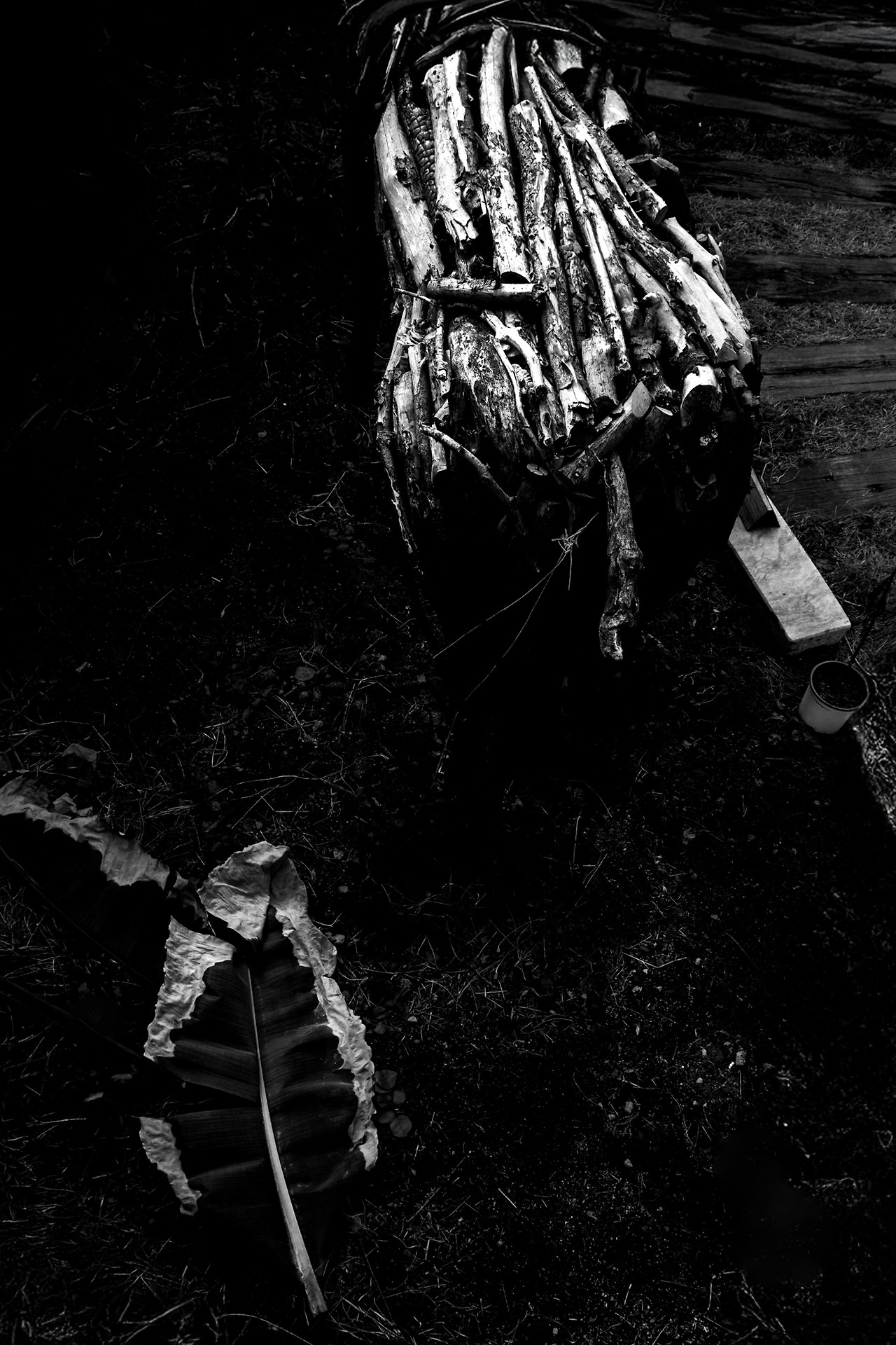 DSC_2586 1copy copy.jpg