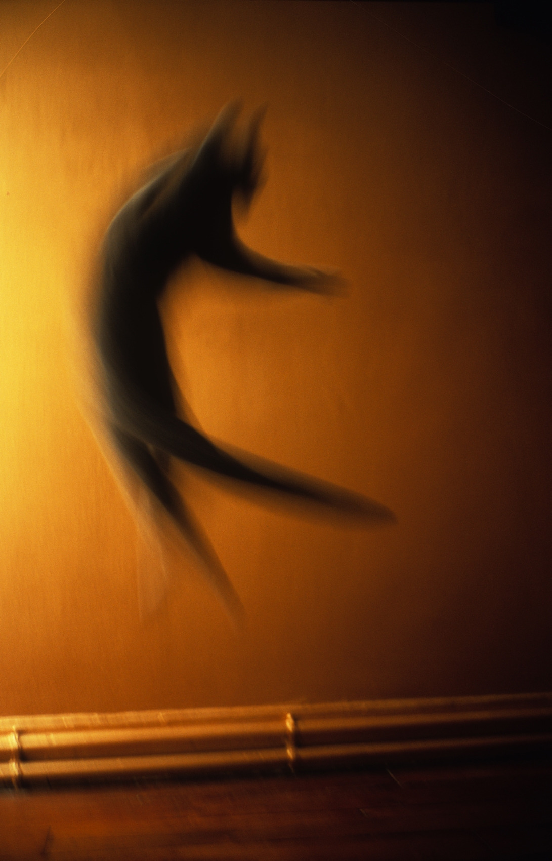 le-saut-du-chat-Paris.-2010-c-Dolores-Marat.jpg