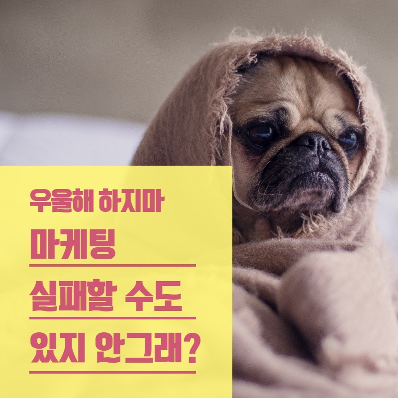 마케팅 실패할 수도 있지 안그래_.jpg