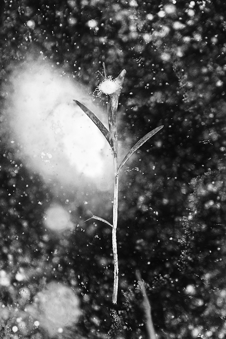 0K6A9962 복사---.jpg