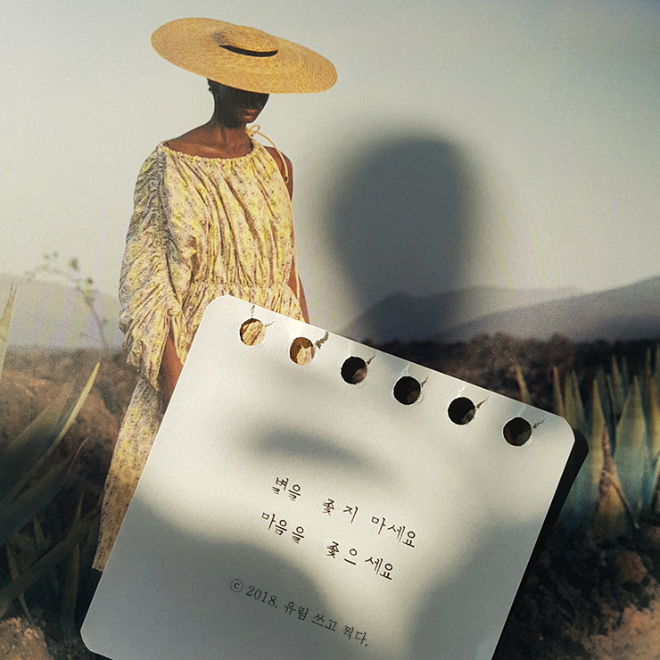 별을 쫓지마세요.jpg