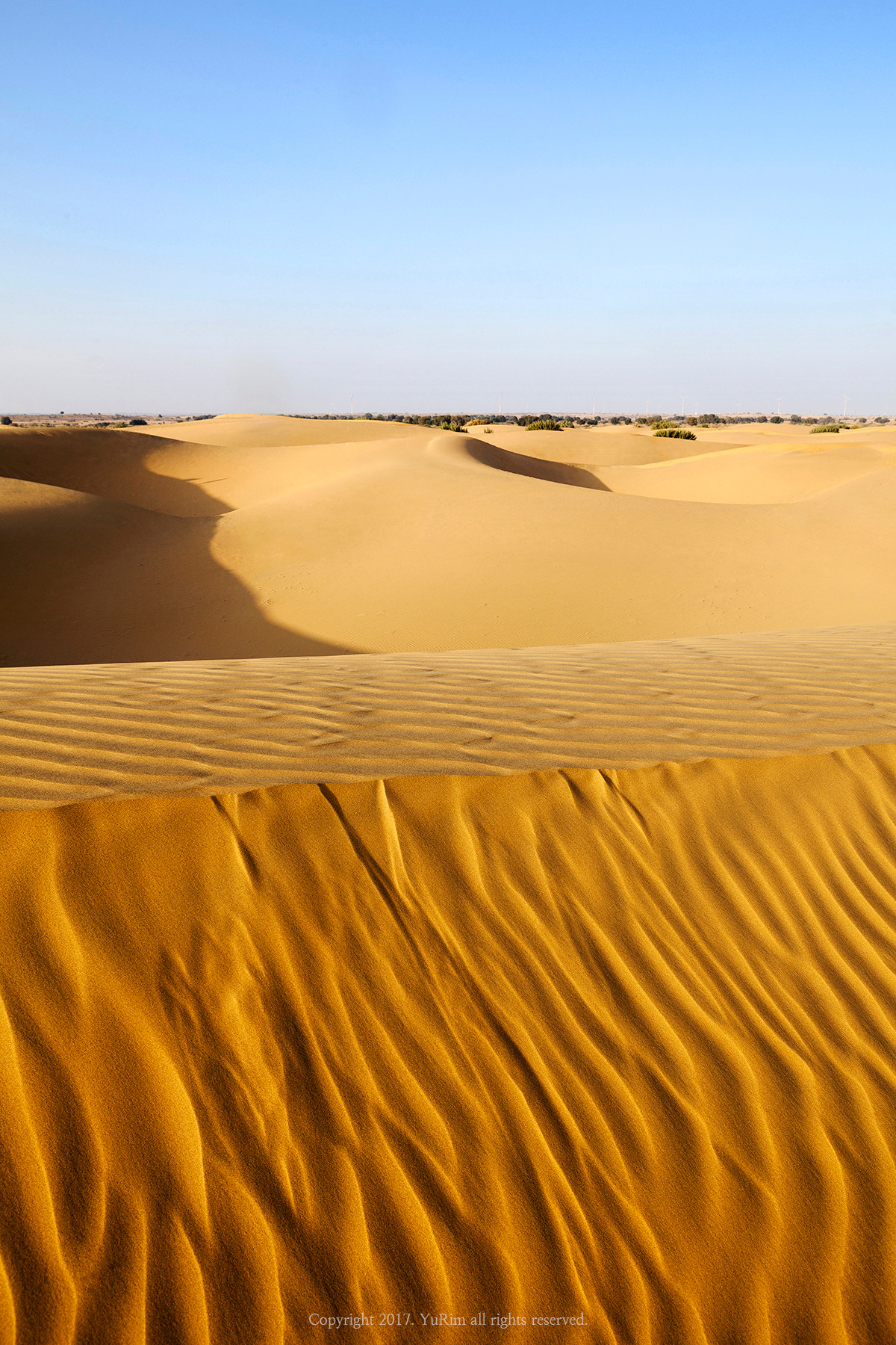 _MG_8071 복사-.jpg