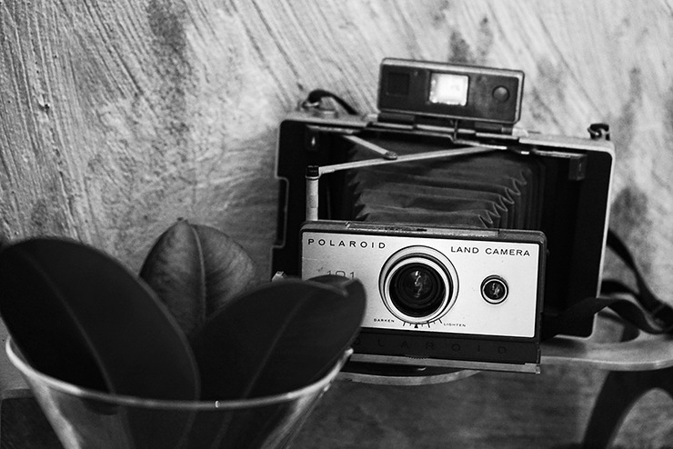 05_비싼 카메라가 좋은가요.jpg