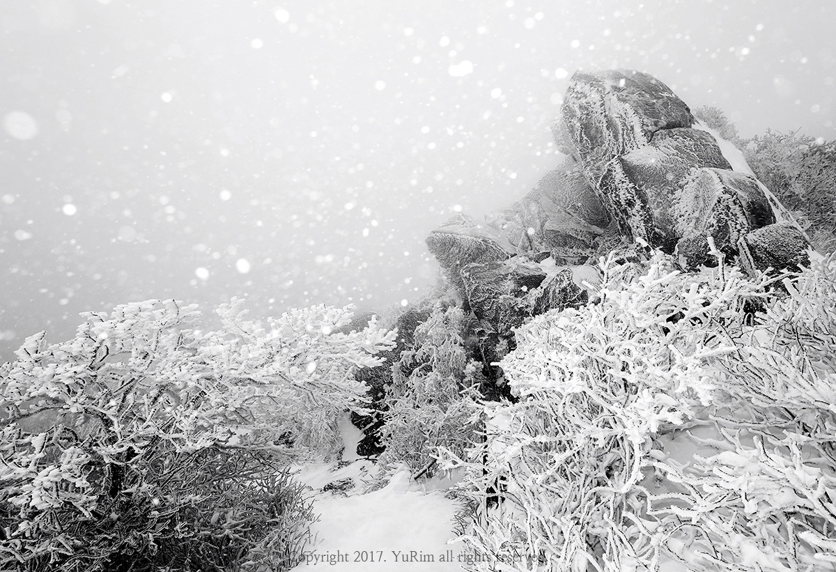 하_5K8A7765 사본.jpg