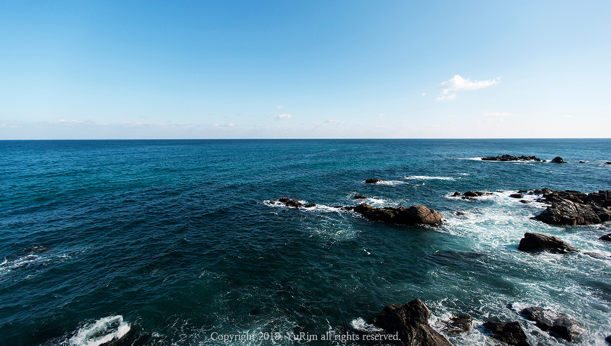 5K8A1631 사본-.jpg