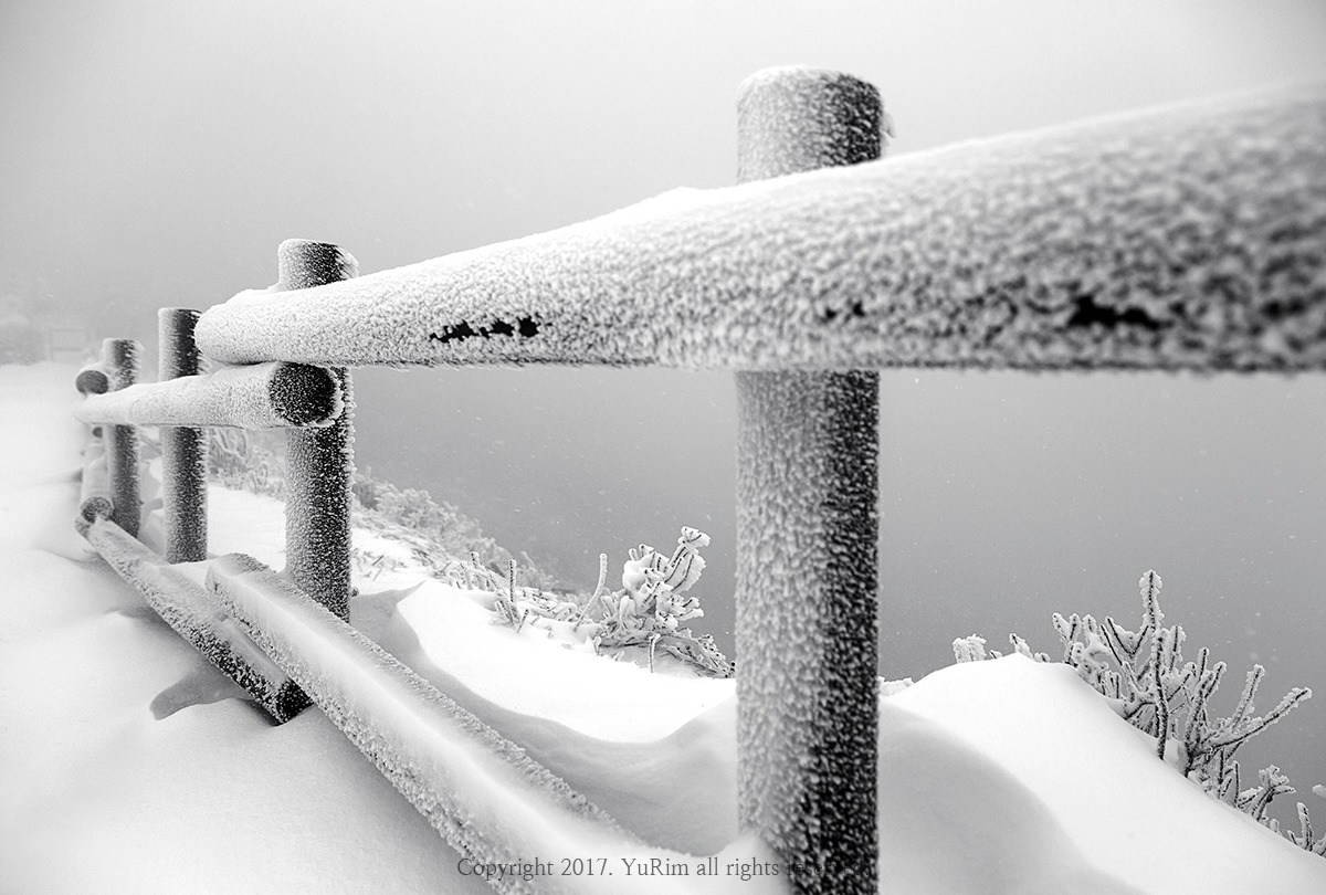 하_5K8A7646 사본.jpg