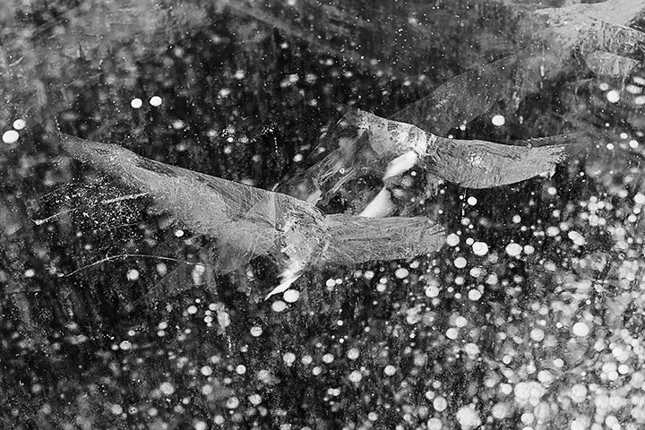 0K6A9992 복사---.jpg