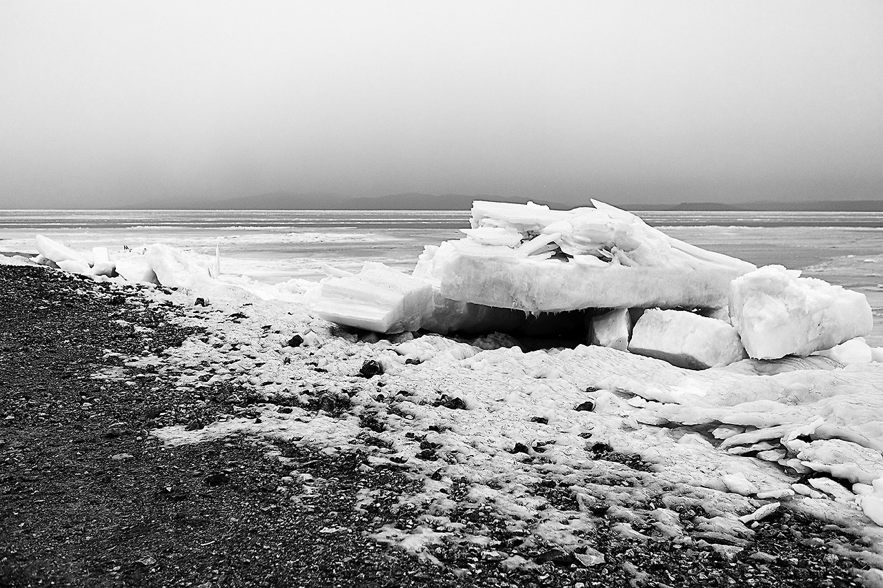 0K6A0549 복사-.jpg