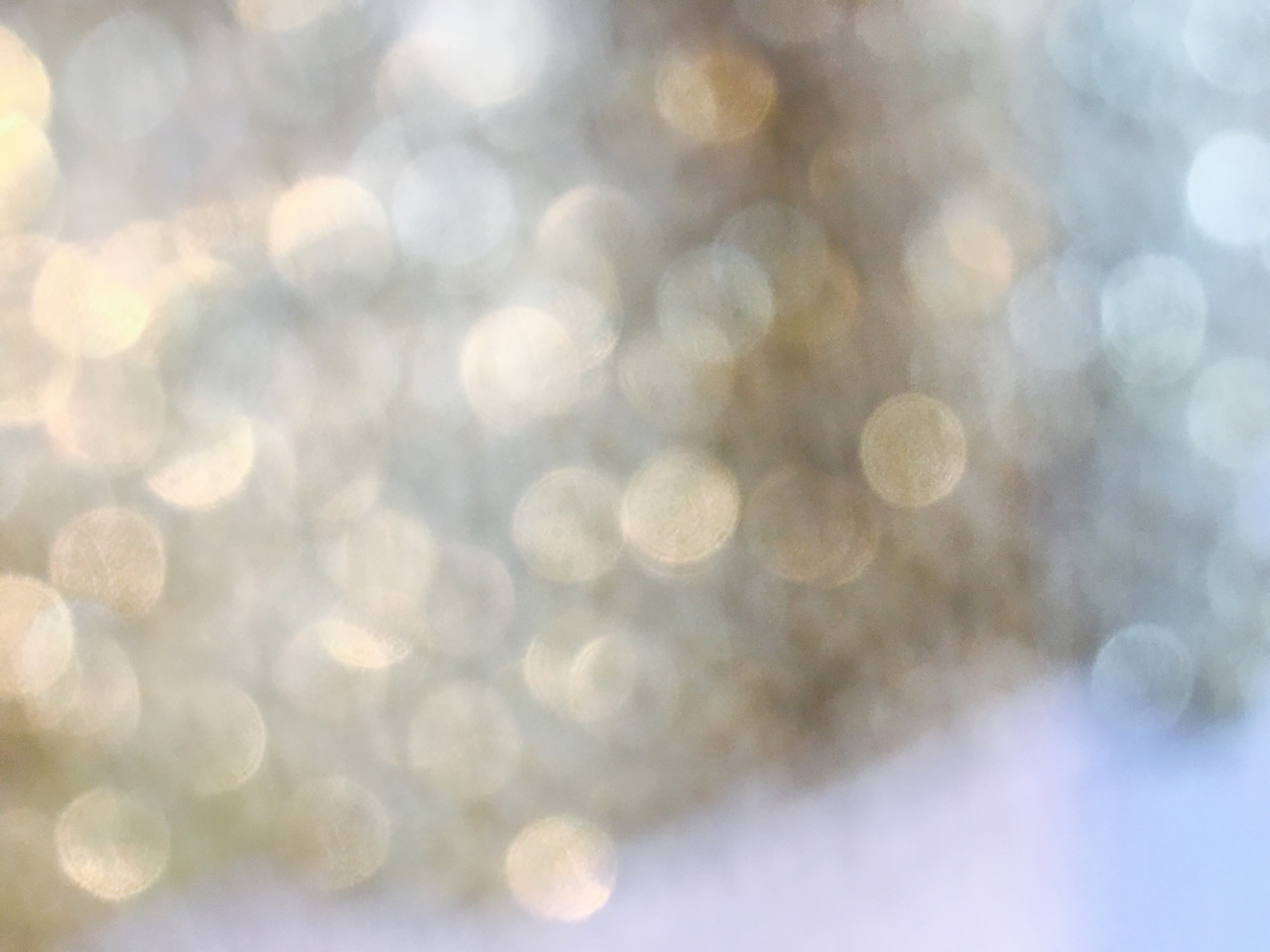 FullSizeRender 10.jpg