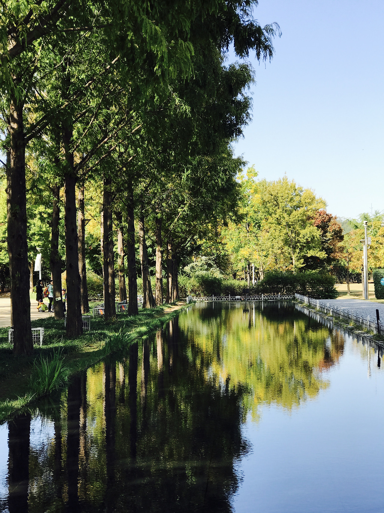 FullSizeRender 11.jpg