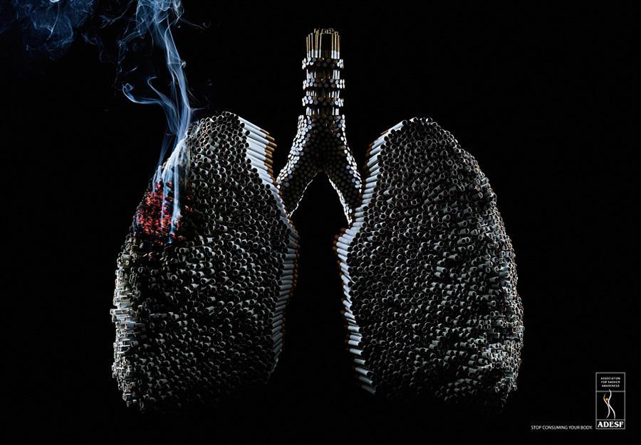 호흡_담배_폐.jpg