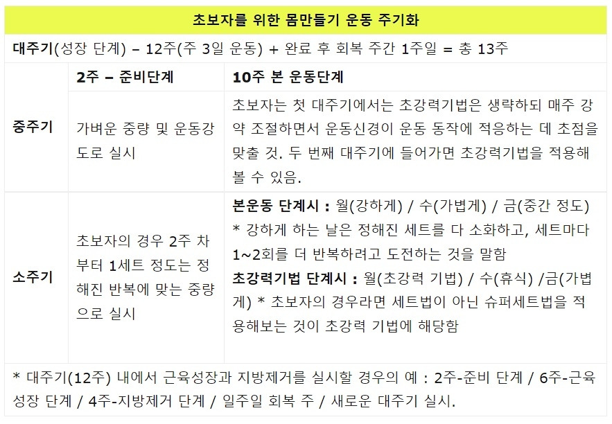 주기화 원리 4_몸만들기 운동 주기화.jpg