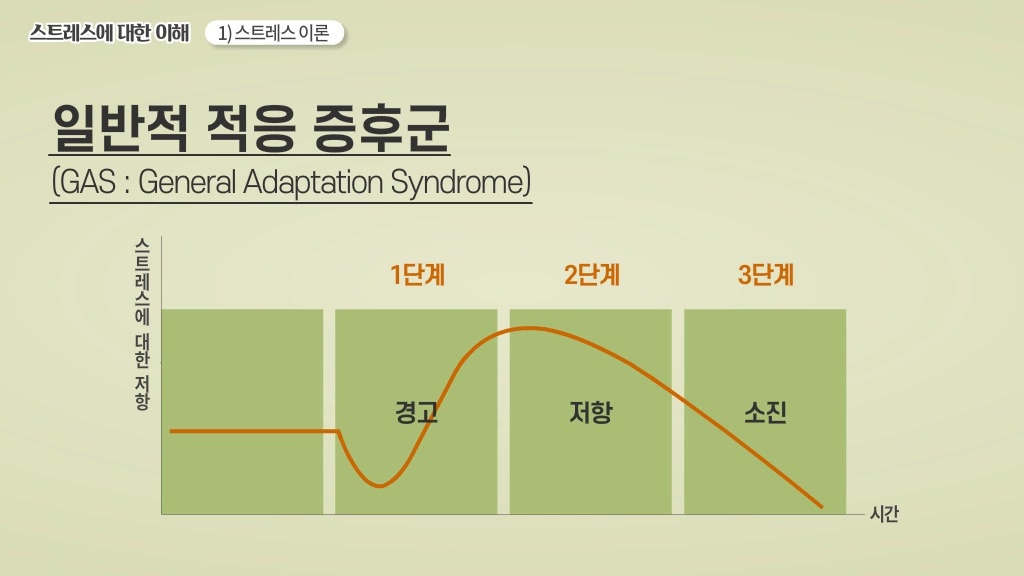 심플운동_스트레스-공식_일반적-적응-증후군_그래프.jpg