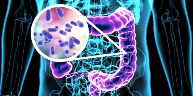 제2의 뇌_미생물_장내미생물.jpg