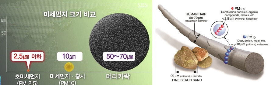 미세먼지_크기비교_푸샵_1.jpg