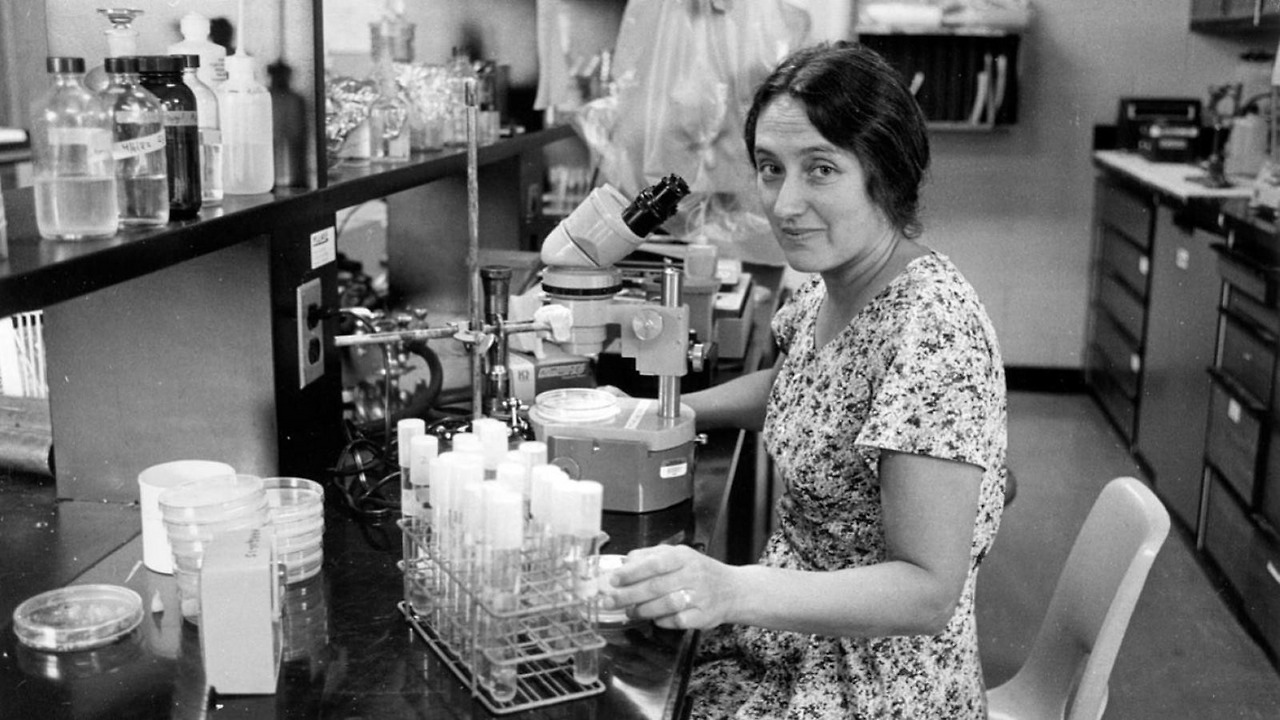 세상의 숨은 지배자_미토콘드리아_린 마굴리스.jpg