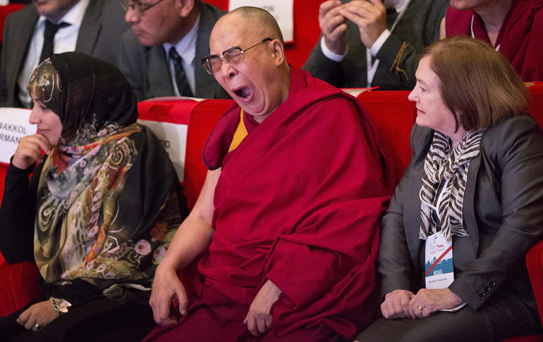 하품_딜라이 라마_푸샵.jpg