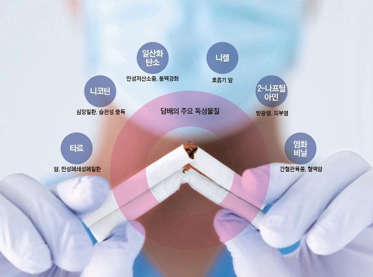 코로나19_흡연_담배_니코틴_독성물질.jpg