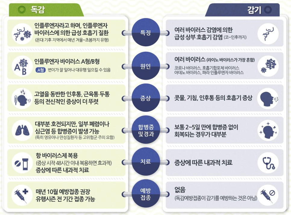 감기 VS 독감.jpg