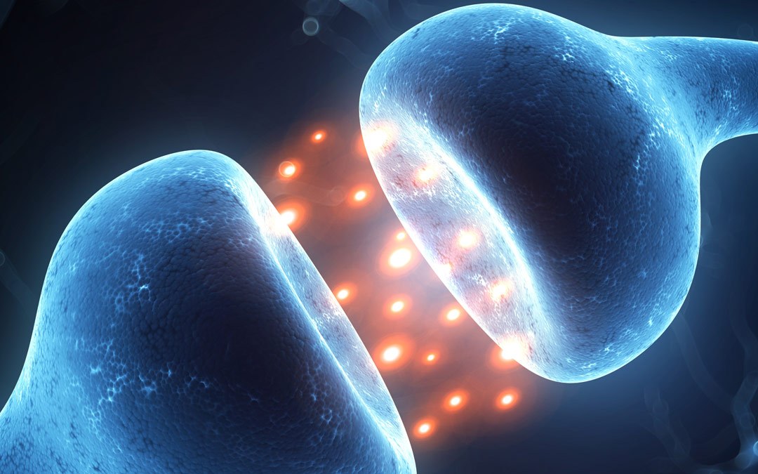 운동하는 몸이 아름답다_엔도카바노이드.jpg