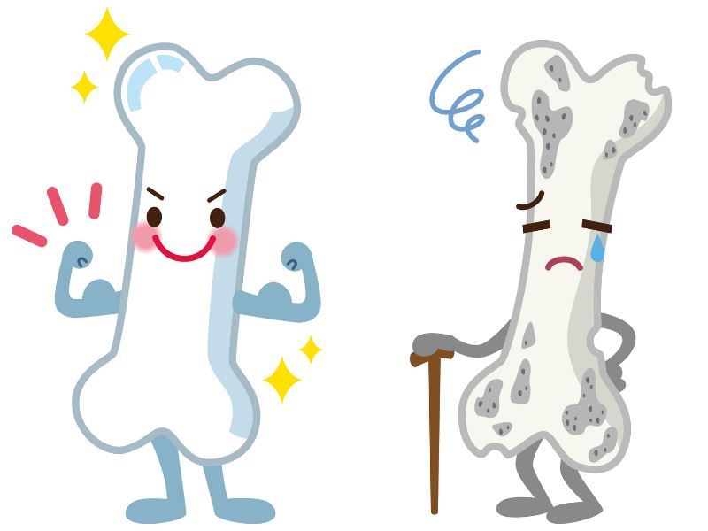 마그네슘_뼈 건강.jpg