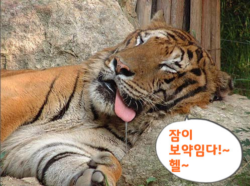 잠이 보약_푸샵.jpg