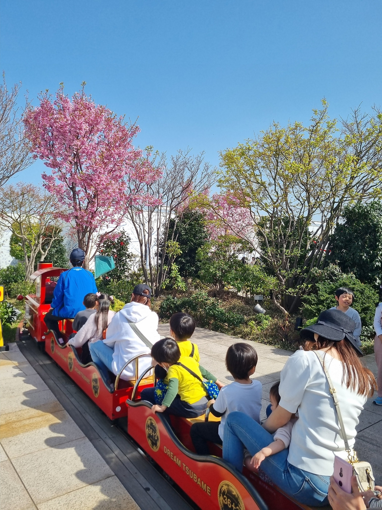 하카타역 옥상 벚꽃.jpg