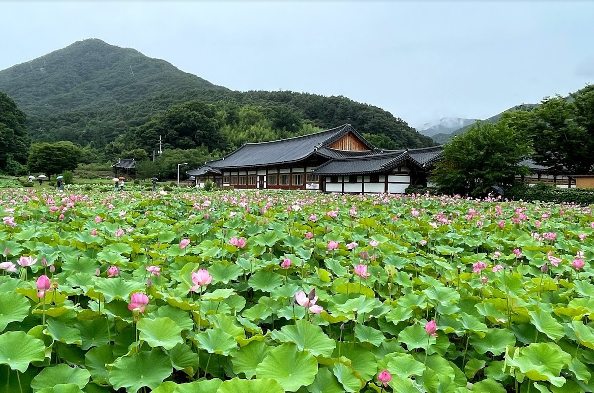 화면 캡처 2025-09-25 073928.jpg