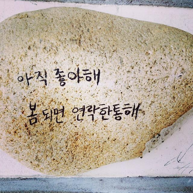 카지노 가입 쿠폰