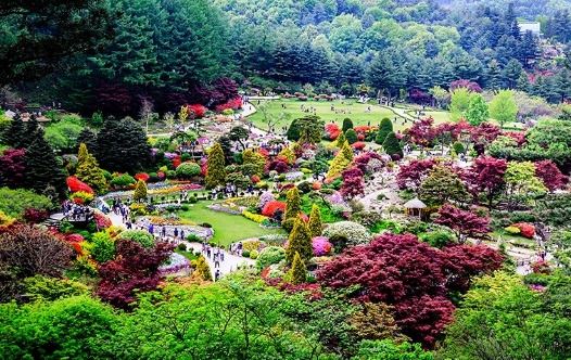 2018-05-04 14;35;53.jpg