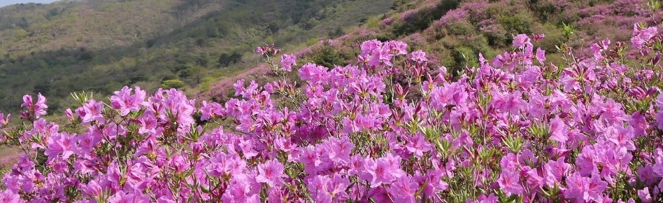 2018-05-04 14;38;26.jpg