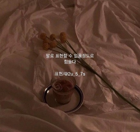 2018-04-25 13;53;43.jpg