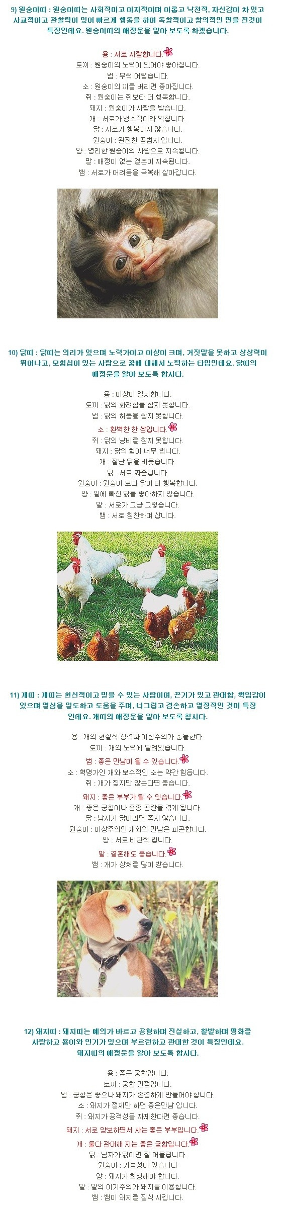 오늘의 운세_8.jpg