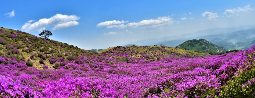 2018-05-04 14;38;53.jpg