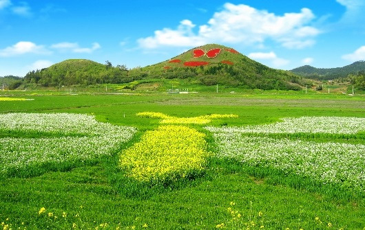 2018-05-04 14;36;46.jpg