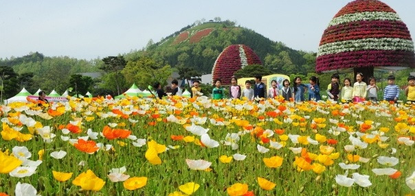 2018-05-04 14;37;08.jpg