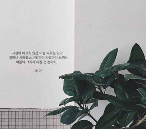 2018-04-25 13;57;24.jpg