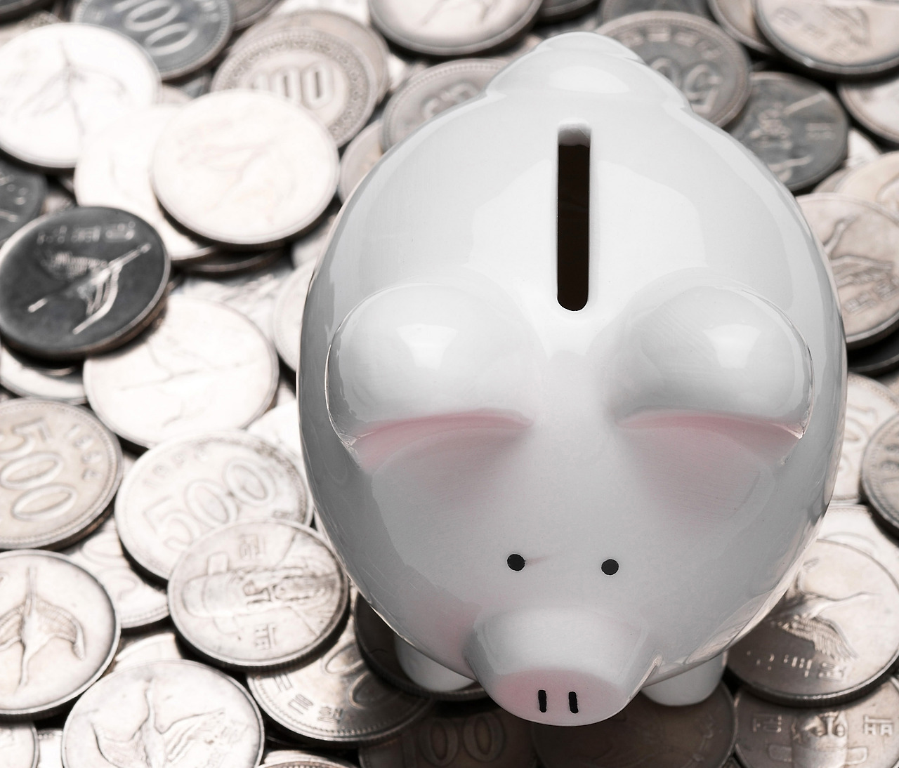 1_저금통.jpg